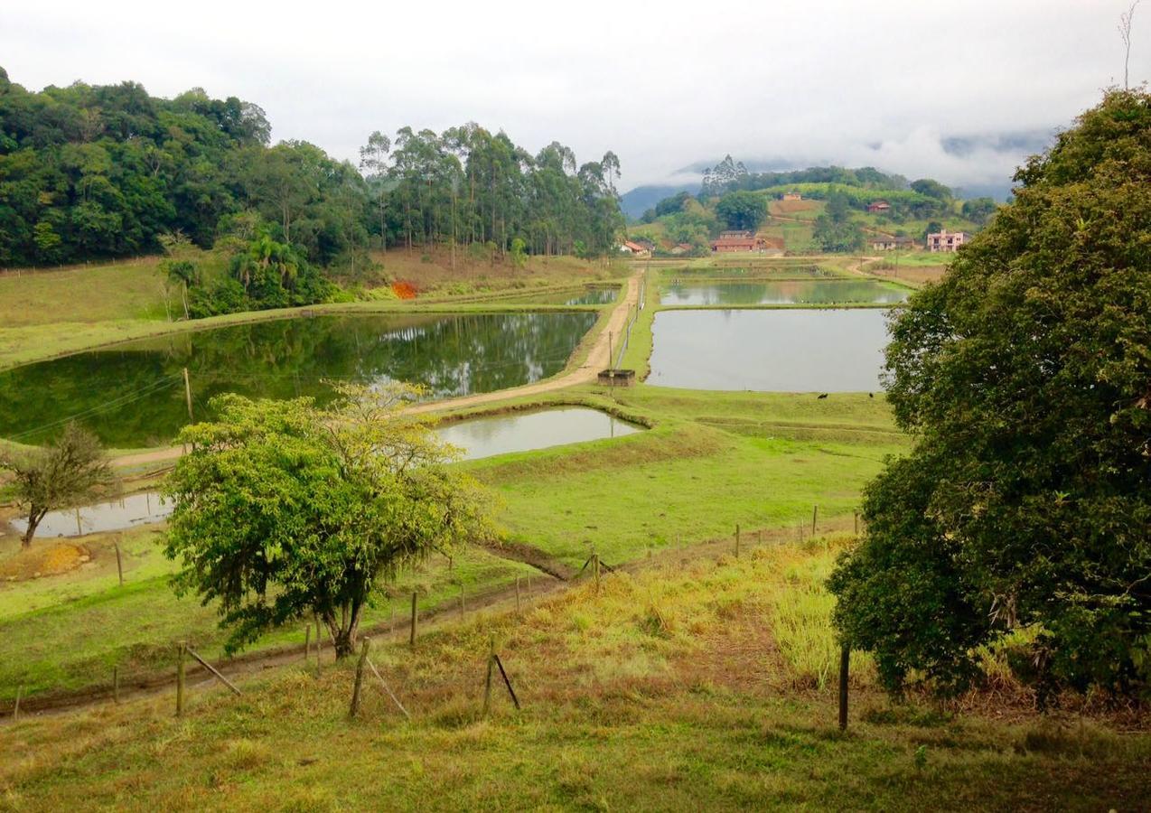 Casa de Campo,Sítio,Vale Europeu-SC Rio dos Cedros Exterior foto